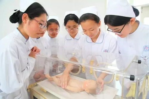 威海市衛生學校 白衣天使的搖籃，中醫養生保健服務專業招生啟動